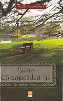 Bakıp Göremediklerimiz (Göze Takılanlar -2)