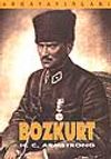 Bozkurt