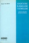 End&uuml;stri İlişkileri Teorileri