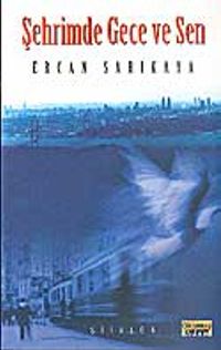 Şehrimde Gece ve Sen