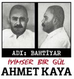 Ahmet Kaya - Adı Bahtiyar - İyimser Bir Gül (Plak)
