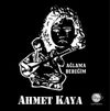 Ahmet Kaya - Ağlama Bebeğim (Plak)