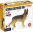 4D Puzzle Alman Kurt Köpeği