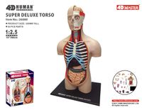 Deluxe Gövde Maketi (38 cm)