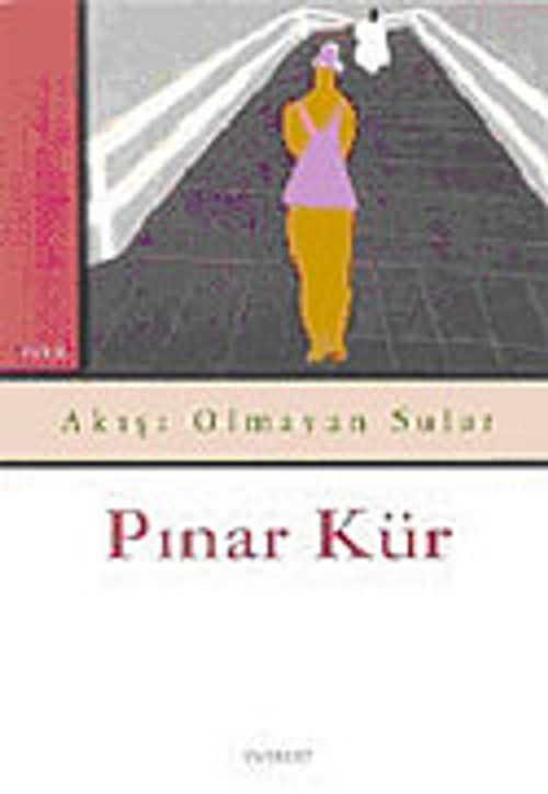 Akışı Olmayan Sular