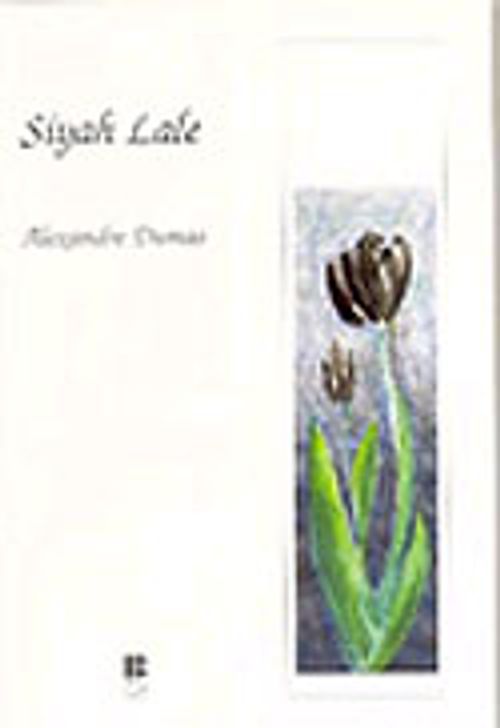 Siyah Lale