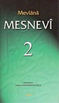 Mesnevi 2 (ciltli)