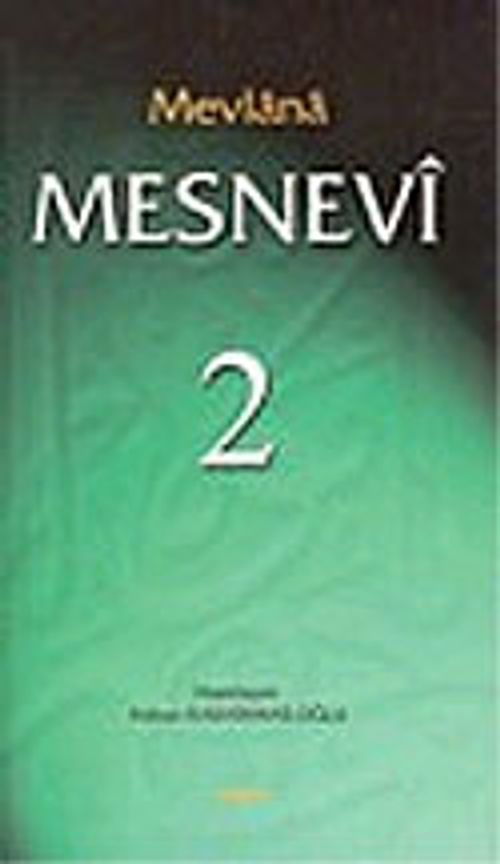 Mesnevi 2 (ciltli)