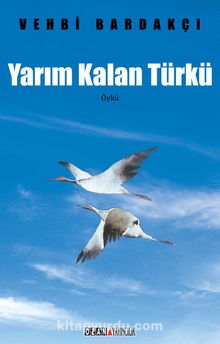 Yarım Kalan Türkü - Vehbi Bardakçı
