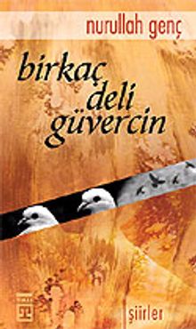 Birkaç Deli Güvercin