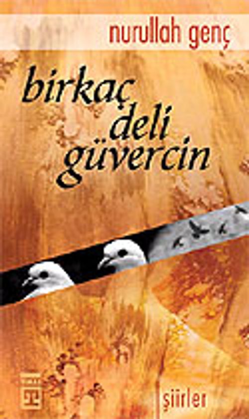 Birkaç Deli Güvercin