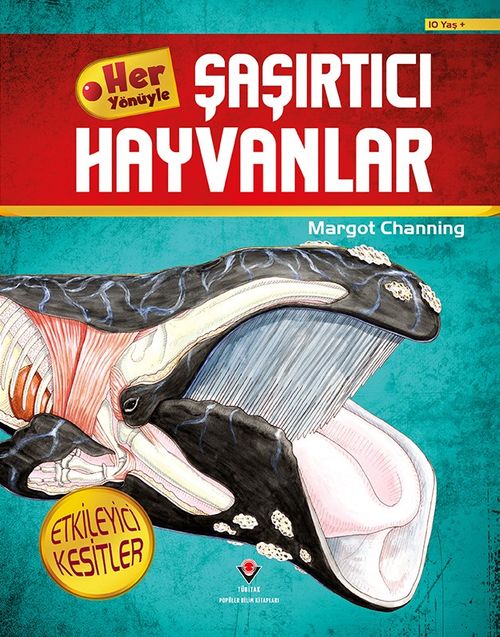 Her Yönüyle Şaşırtıcı Hayvanlar