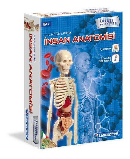 İlk Keşiflerim - İnsan Anatomisi (Kod:64297)