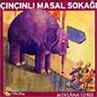 Çınçınlı Masal Sokağı