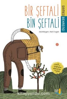 Bir Şeftali Bin Şeftali (Etkinlik Dosyası ve Değerlendirme Sorularıyla Birlikte) - Samed Behrengi