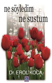 Ne Söyledim Ne Sustum