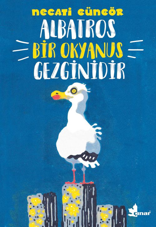 Albatros Bir Okyanus Gezginidir & Hayvanların Sır Dolu Dünyası