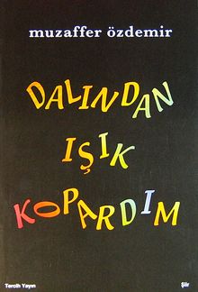 Dalından Işık Kopardım