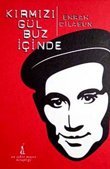 Kırmız Gül Buz İçinde (DVD Ekli)