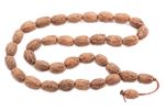 Zeytin Çekirdeği (OR-06)