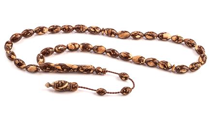 Tarçın Ağacı - Tarçın Kokulu - Alaca (TR01)