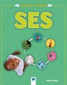 İlk Bilgiler ve Deneyler / Ses
