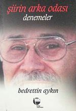 Şiirin Arka Odası-Denemeler