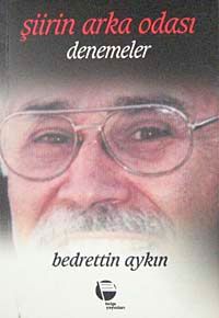 Şiirin Arka Odası-Denemeler