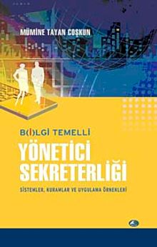 Bilgi Temelli Yönetici Sekreterliği & Sistemler, Kuramlar ve Uygulama Örnekleri