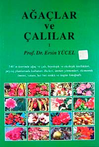 Ağaçlar ve Çalılar