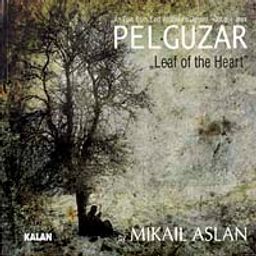 Pelguzar