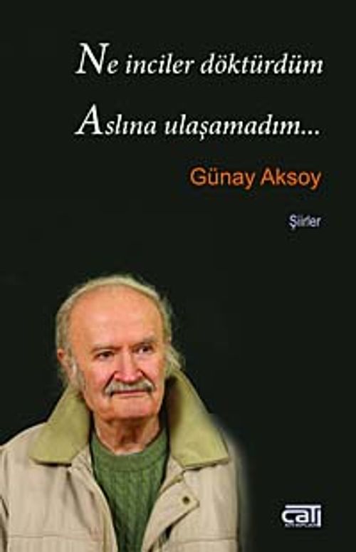 Ne İnciler Döktürdüm Aslına Ulaşamadım...