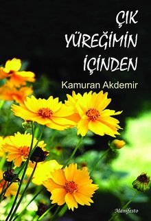 Çık Yüreğimin İçinden