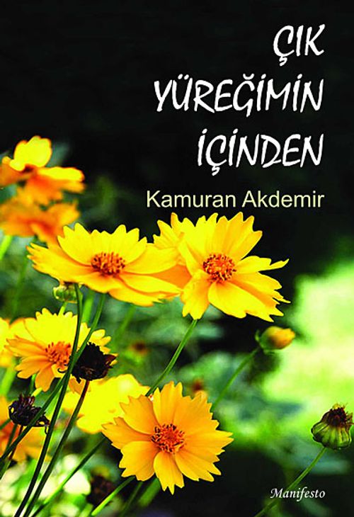 Çık Yüreğimin İçinden