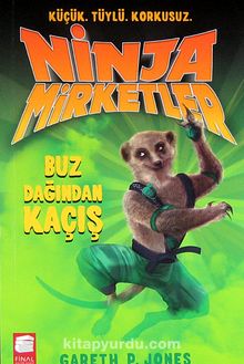 Ninja Mirketler -3 Buz Dağından Kaçış - Gareth P. Jones