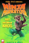Ninja Mirketler -3 Buz Dağından Kaçış