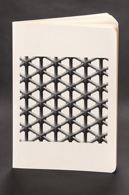 Akıl Defteri - Optik İllüzyon - Demir Örgü