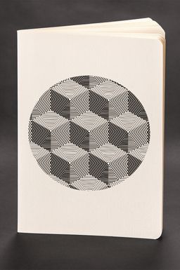 Akıl Defteri - Optik İllüzyon - Çokgen Küp