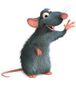 ratatouille