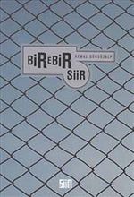 Birebir Şiir