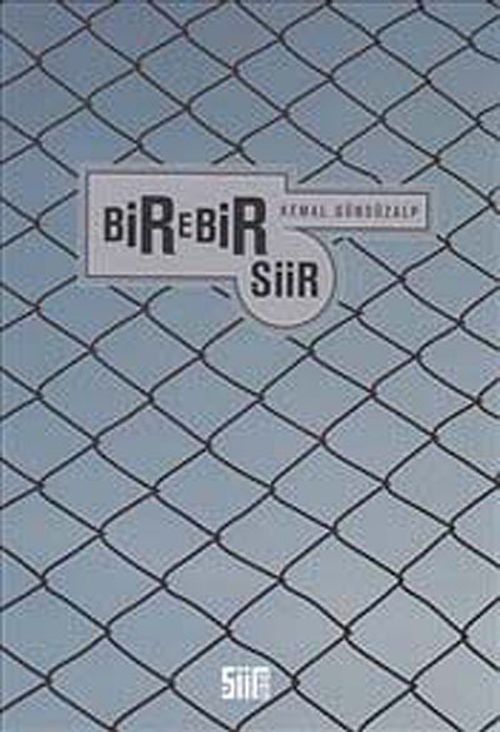 Birebir Şiir