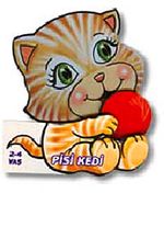 Pisi Kedi