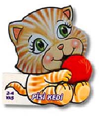 Pisi Kedi