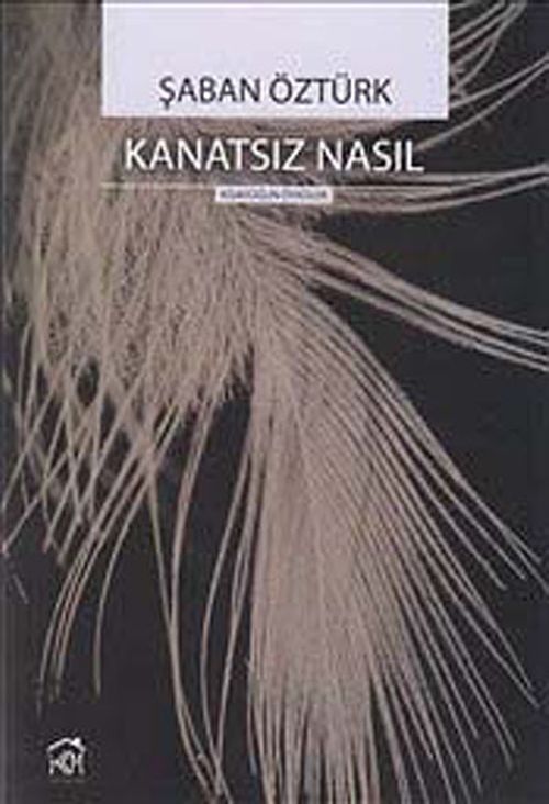 Kanatsız Nasıl