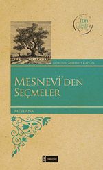 Mesnevi'den Seçmeler (Kenar Boyalı) / 100 Temel Eser