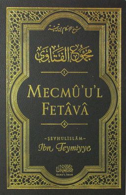 Mecmu'u'l Fetava (4. Cilt)