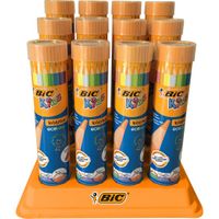Bic Evolution Kuru Boya Kalemi 12+1 Metal Tüp (958191)