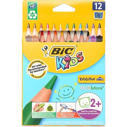 Bic Evolution Üçgen Jumbo Boya Kalemi 12'li Kutu (50/2104)