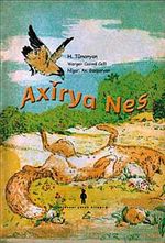 Axirya Nes