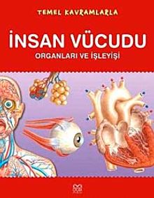 Temel Kavramlarla İnsan Vücudu Organları ve İşleyişi
